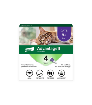 Elanco Advantage II Topical Flea Treatment & Prevention for Cats 4-Month Supply, 1ea/LG Cats (Over 9Lbs)