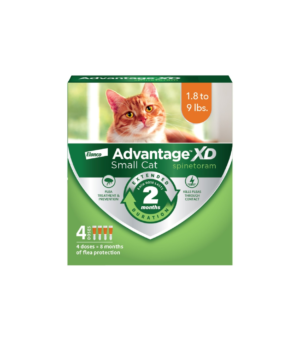 Elanco Advantage XD Topical Flea Protection for Cats 4 doses (8 months of protection), 1ea/SM Cats (1.8-9 Lbs)