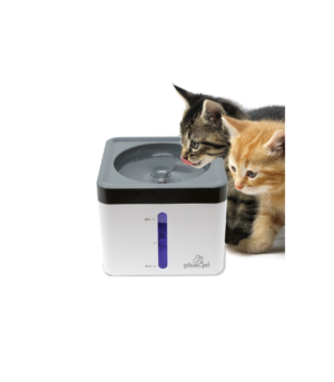 Pioneer Pet Vortex Drinking Pet Fountain Rectangle, 1ea/Mini, 80 oz