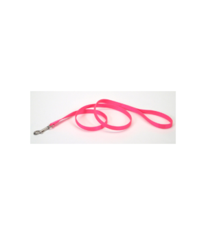 Coastal Single-Ply Nylon Dog Leash Neon Pink, 1ea/1 In X 4 ft