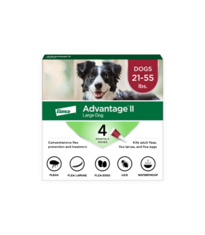 Elanco Advantage II Topical Flea Treatment & Prevention for Dogs 4-Month Supply, 1ea/LG Dogs (21-55Lbs)